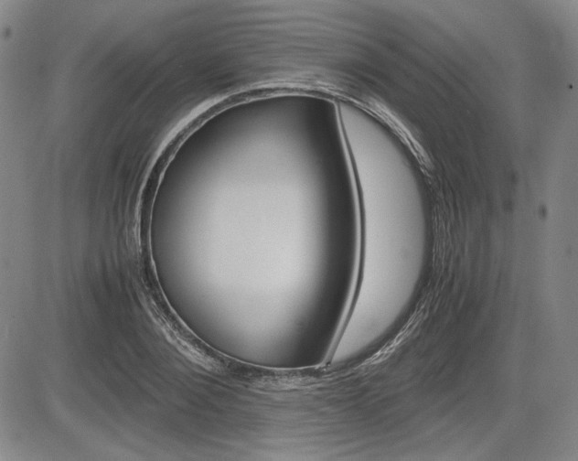 X0000085790884200703160931