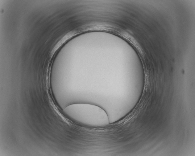 X0000085790890200703160931