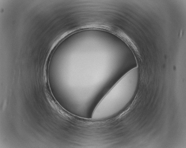 X0000085790892200703160931