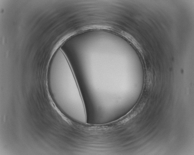 X0000085790898200703160930