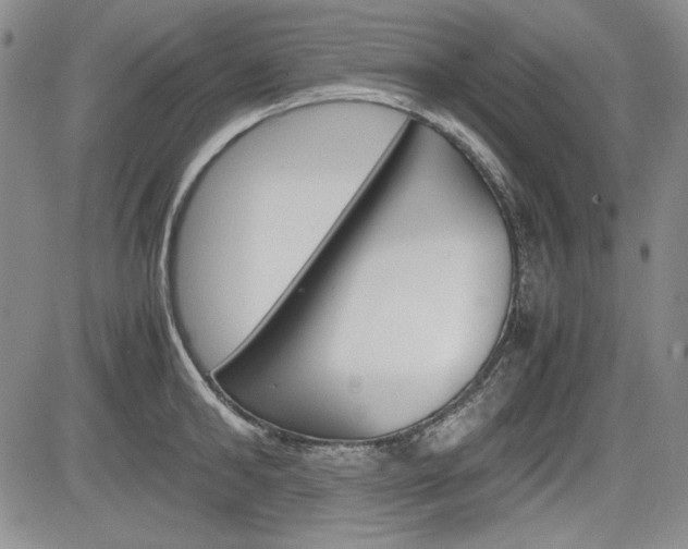 X0000085790902200703160930
