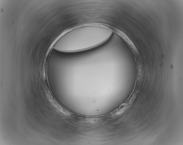 X0000085790908200703160930