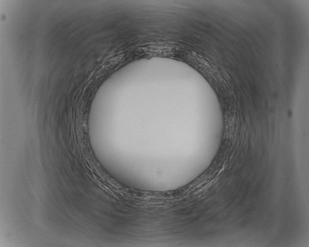 X0000085790913200703160929