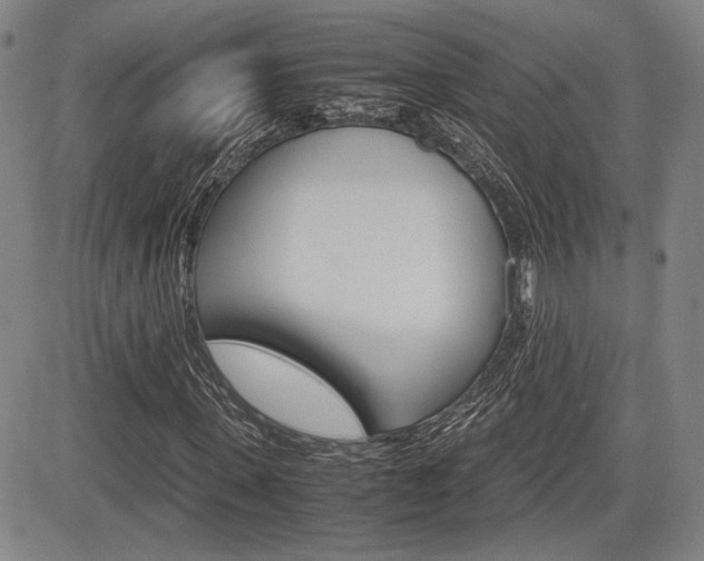 X0000085790915200703160929
