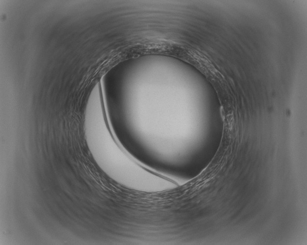 X0000085790916200703160930
