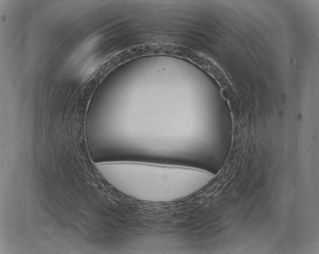 X0000085790919200703160930
