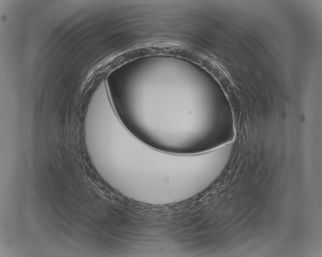 X0000085790920200703160930
