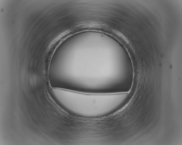 X0000085790922200703160930