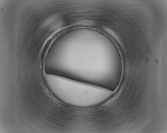X0000085790923200703160930