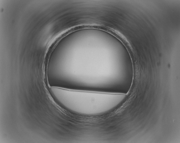 X0000085790935200703160930