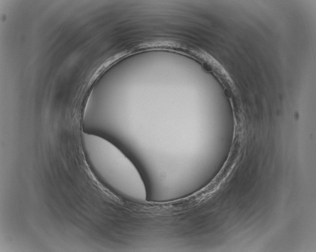 X0000085790937200703160930