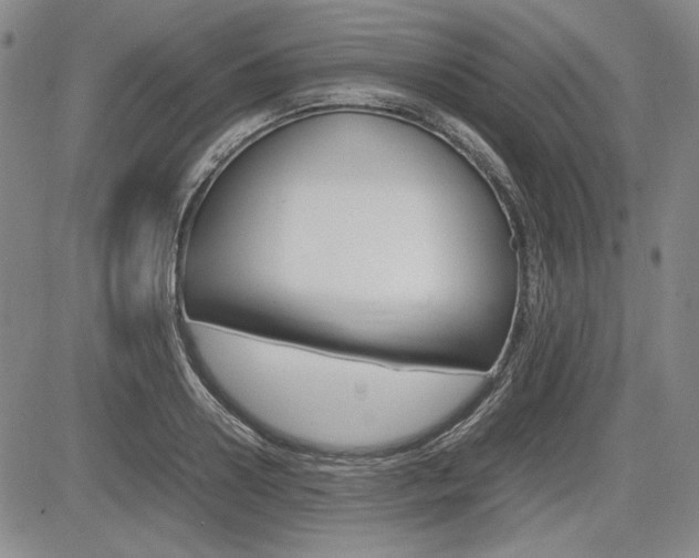 X0000085790938200703160930