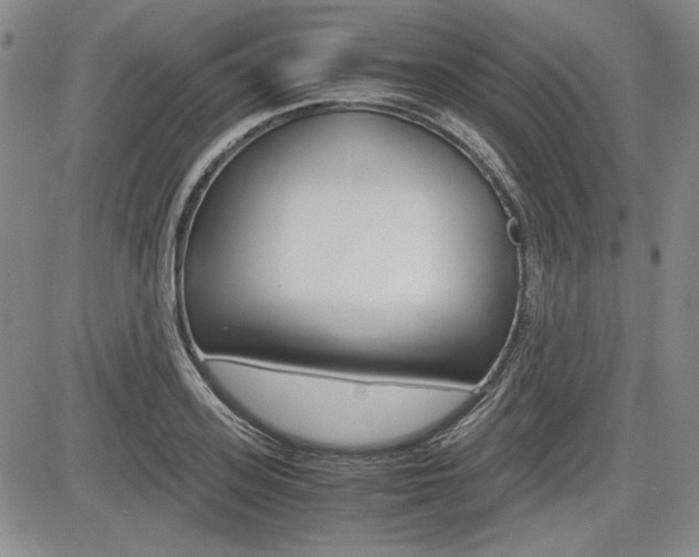 X0000085790939200703160930