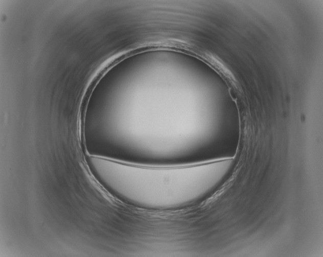 X0000085790940200703160930