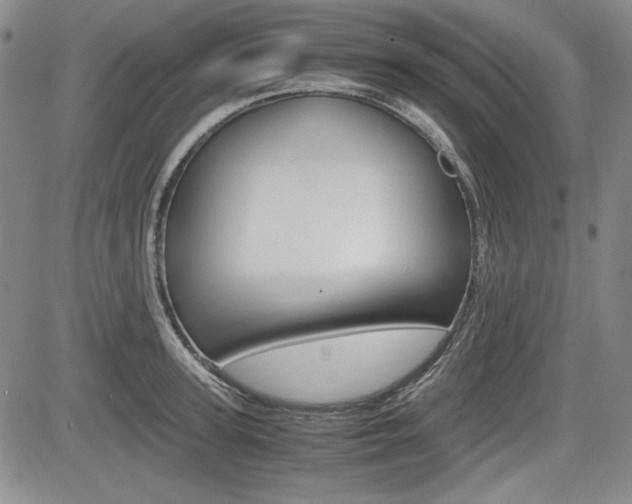 X0000085790947200703160930