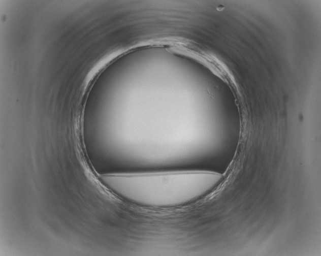 X0000085790952200703160930