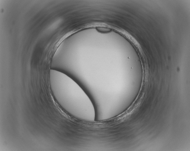 X0000085790953200703160930