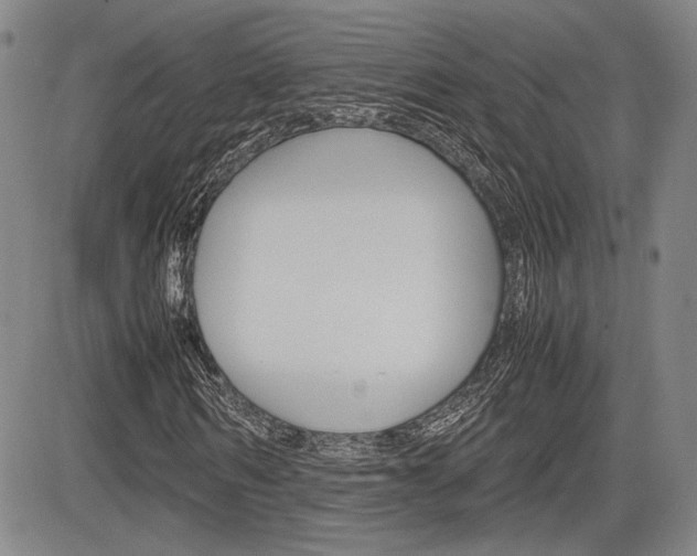 X0000085790962200703160929