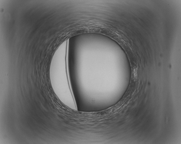 X0000085790963200703160929