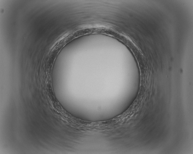 X0000085790967200703160929
