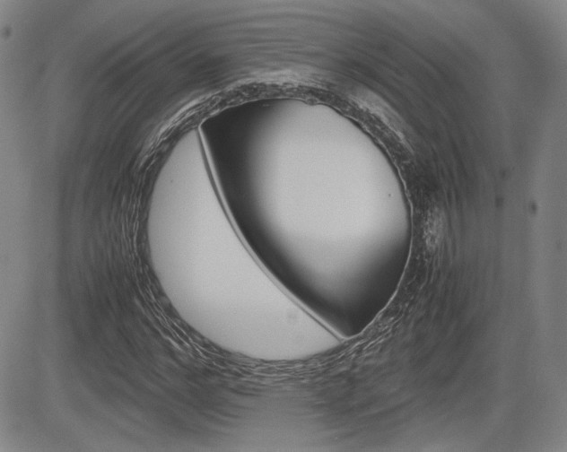 X0000085790968200703160929