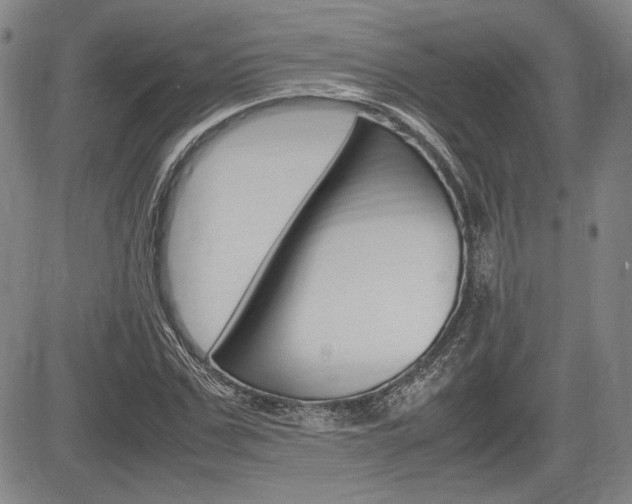 X0000085790971200703160929