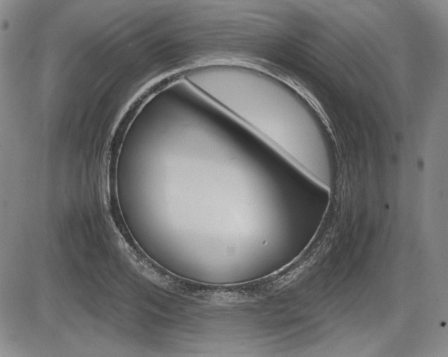 X0000085790984200703160929