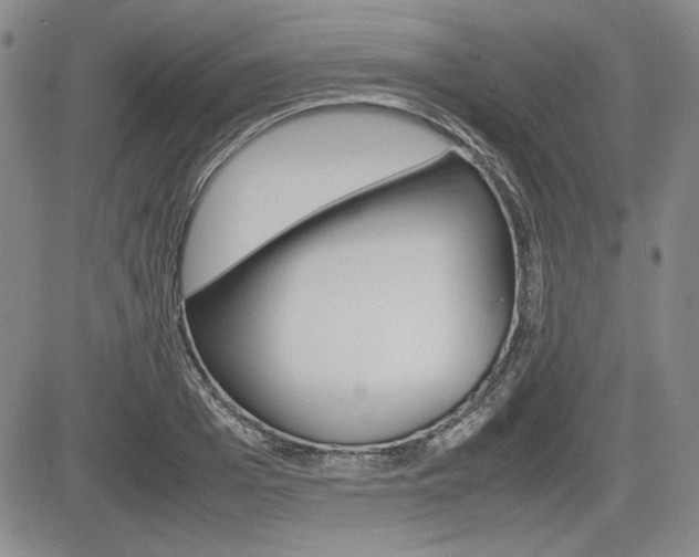 X0000085790985200703160929