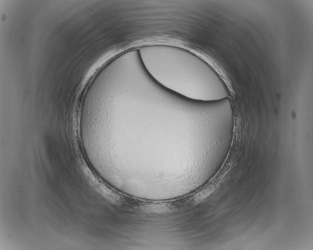 X0000085790998200703160929