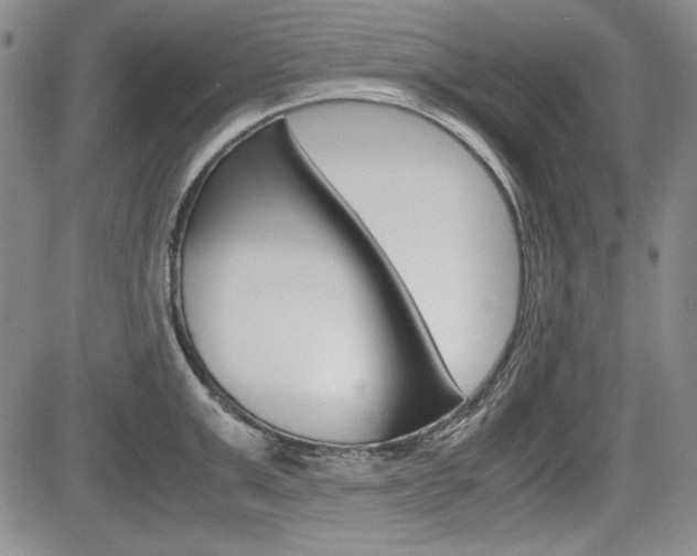 X0000085790999200703160929