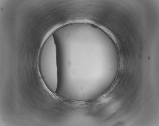 X0000085791006200703160929