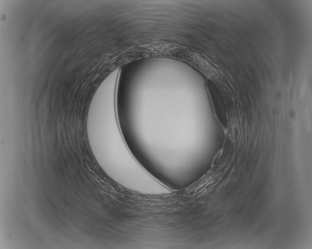 X0000085791010200703160928