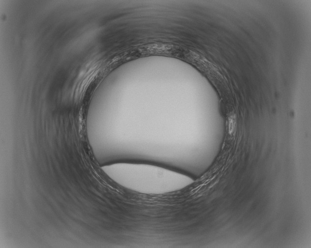 X0000085791011200703160928