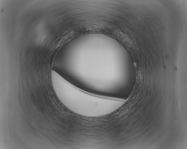 X0000085791012200703160928