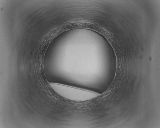 X0000085791014200703160928