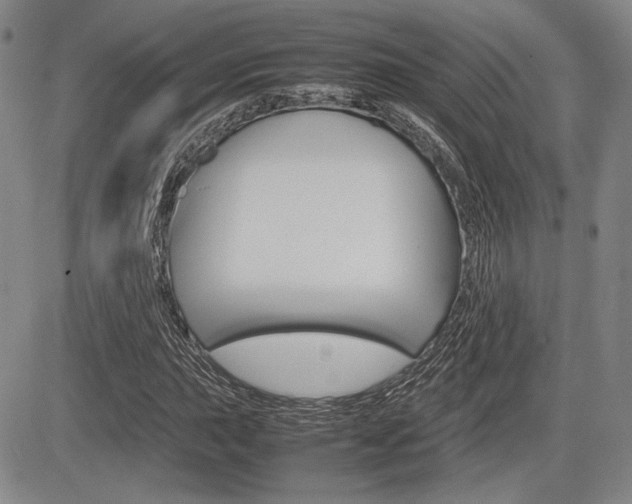 X0000085791015200703160928