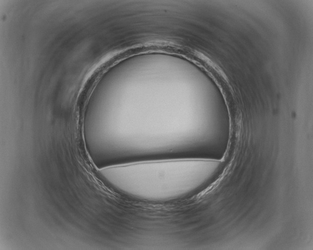 X0000085791021200703160928