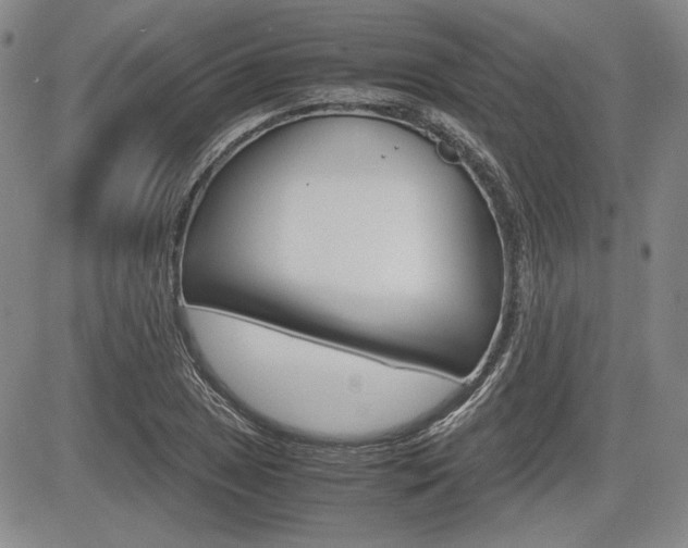 X0000085791025200703160928