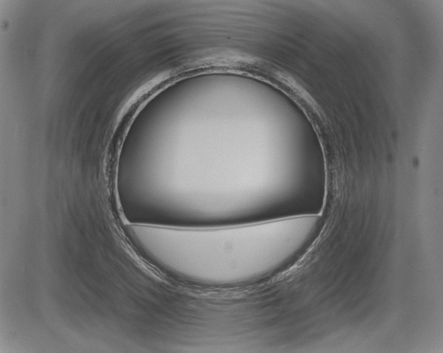 X0000085791026200703160928