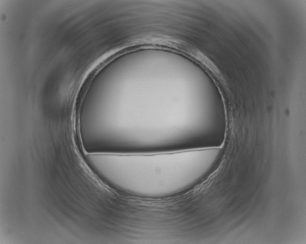 X0000085791028200703160928
