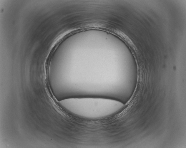 X0000085791031200703160928