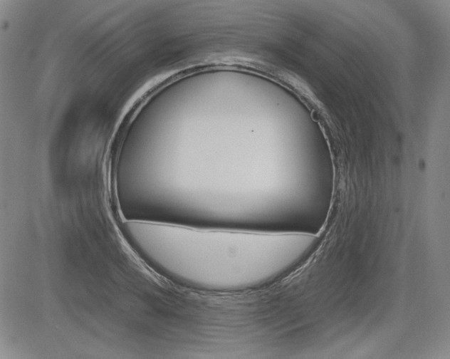 X0000085791032200703160928