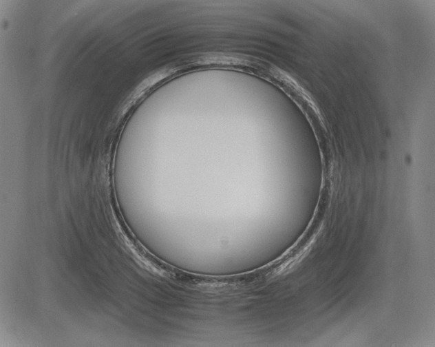 X0000085791033200703160928