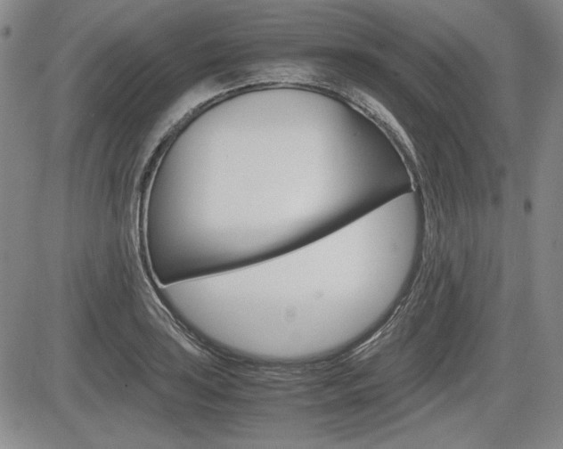 X0000085791035200703160928