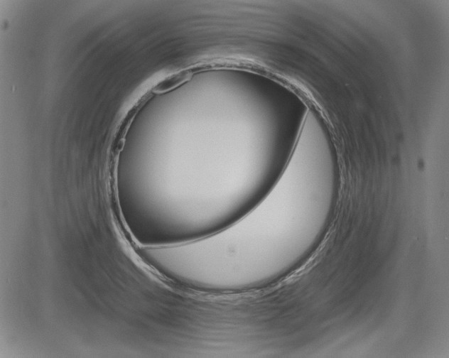 X0000085791038200703160928