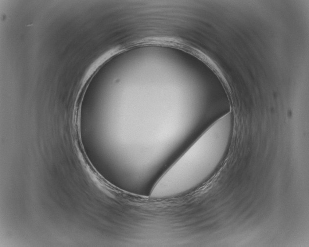 X0000085791050200703160929