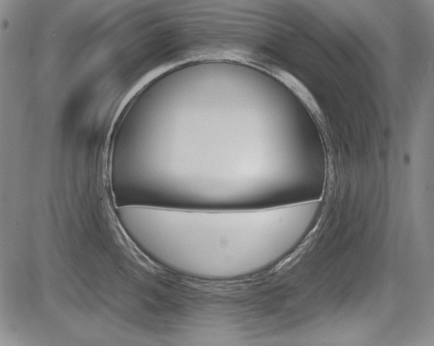 X0000085791052200703160929