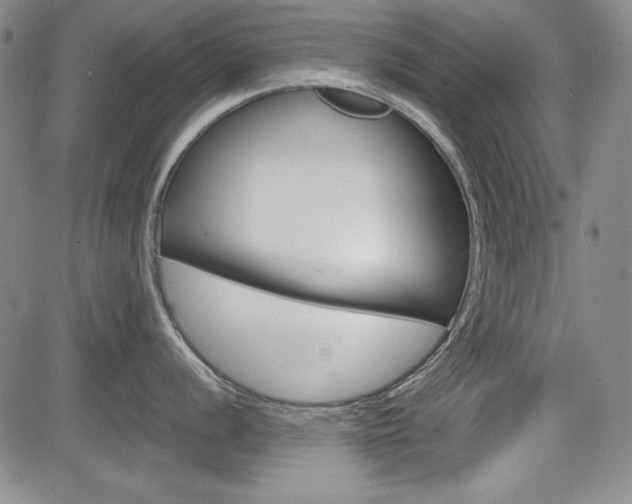 X0000085791056200703160929