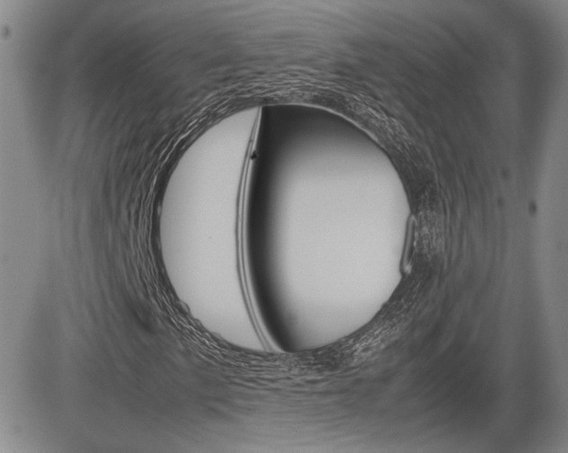 X0000085791057200703160928