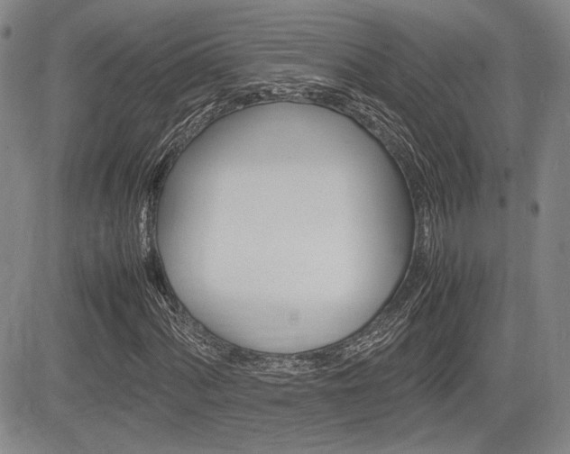 X0000085791060200703160928